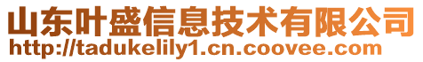 山東葉盛信息技術(shù)有限公司