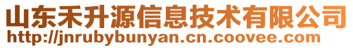 山東禾升源信息技術有限公司