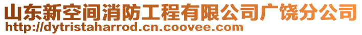 山東新空間消防工程有限公司廣饒分公司