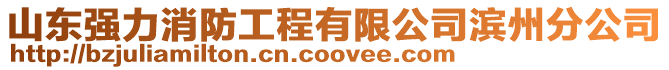 山東強力消防工程有限公司濱州分公司