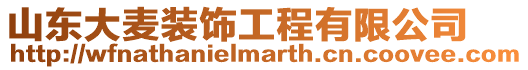 山東大麥裝飾工程有限公司