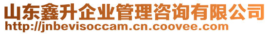 山東鑫升企業(yè)管理咨詢有限公司