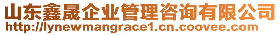 山東鑫晟企業管理咨詢有限公司