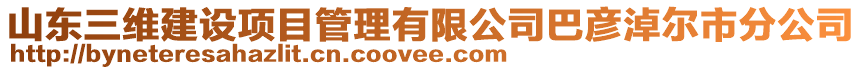 山東三維建設項目管理有限公司巴彥淖爾市分公司