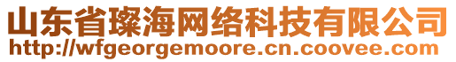 山東省璨海網絡科技有限公司