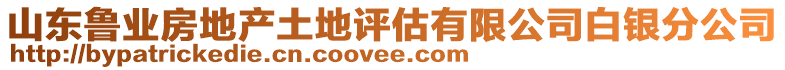 山東魯業房地產土地評估有限公司白銀分公司