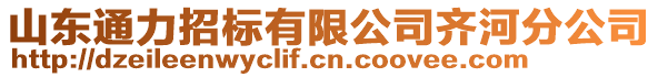 山東通力招標有限公司齊河分公司