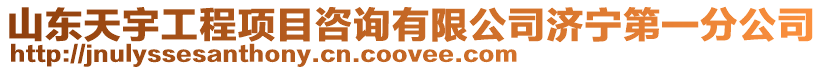 山東天宇工程項(xiàng)目咨詢有限公司濟(jì)寧第一分公司