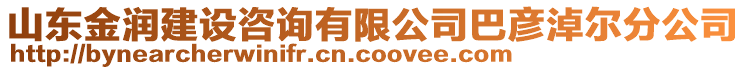 山東金潤建設(shè)咨詢有限公司巴彥淖爾分公司