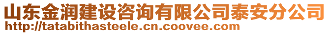 山東金潤建設(shè)咨詢有限公司泰安分公司