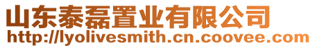 山東泰磊置業(yè)有限公司