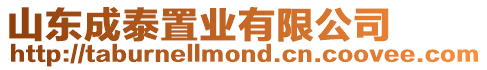 山東成泰置業有限公司