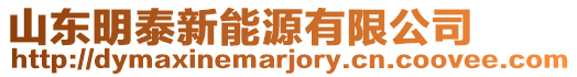 山東明泰新能源有限公司