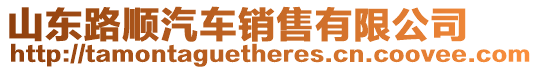 山東路順汽車銷售有限公司