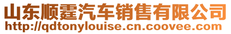 山東順霆汽車銷售有限公司