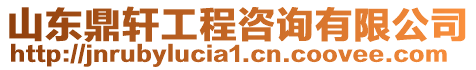 山東鼎軒工程咨詢有限公司