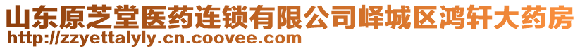 山東原芝堂醫(yī)藥連鎖有限公司嶧城區(qū)鴻軒大藥房