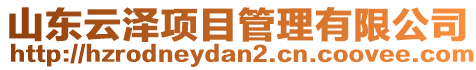 山東云澤項目管理有限公司