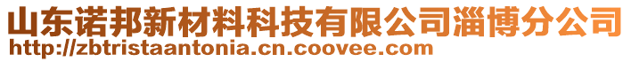 山東諾邦新材料科技有限公司淄博分公司