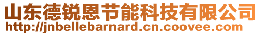 山東德銳恩節能科技有限公司