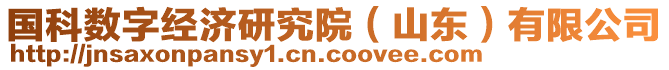 國科數(shù)字經(jīng)濟(jì)研究院(山東)有限公司