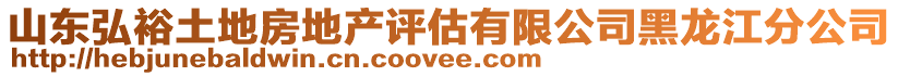 山東弘裕土地房地產評估有限公司黑龍江分公司