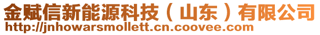 金赋信新能源科技（山东）有限公司