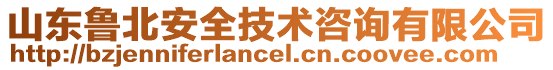 山东鲁北安全技术咨询有限公司