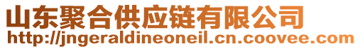 山東聚合供應(yīng)鏈有限公司