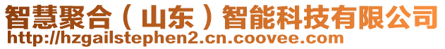 智慧聚合(山東)智能科技有限公司