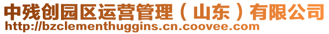 中殘創(chuàng)園區(qū)運(yùn)營管理（山東）有限公司