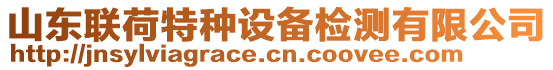 山东联荷特种设备检测有限公司