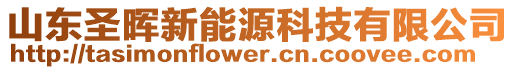 山東圣暉新能源科技有限公司