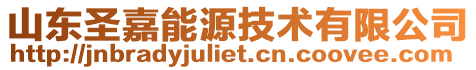 山東圣嘉能源技術有限公司