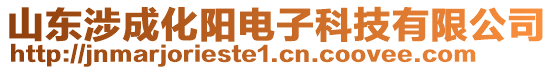 山东涉成化阳电子科技有限公司