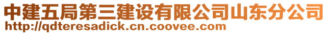 中建五局第三建設(shè)有限公司山東分公司