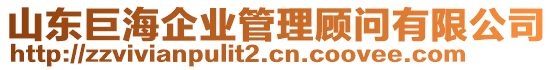 山東巨海企業(yè)管理顧問有限公司