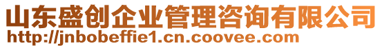 山東盛創(chuàng)企業(yè)管理咨詢有限公司