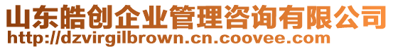 山東皓創(chuàng)企業(yè)管理咨詢有限公司