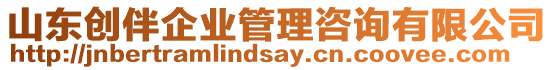 山東創伴企業管理咨詢有限公司