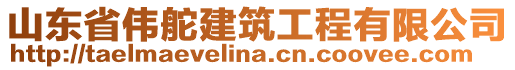山東省偉舵建筑工程有限公司