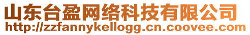 山東臺盈網絡科技有限公司