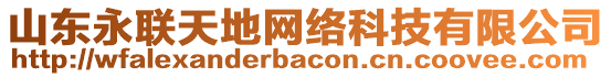 山東永聯(lián)天地網(wǎng)絡(luò)科技有限公司