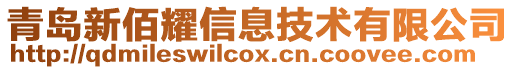 青島新佰耀信息技術有限公司