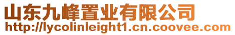 山東九峰置業有限公司