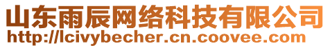 山東雨辰網絡科技有限公司