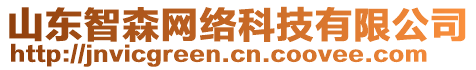山東智森網絡科技有限公司