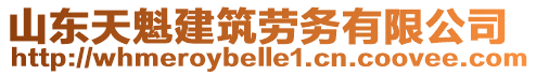 山東天魁建筑勞務(wù)有限公司