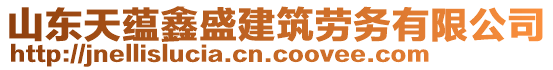 山東天蘊(yùn)鑫盛建筑勞務(wù)有限公司
