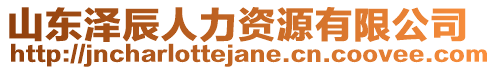 山東澤辰人力資源有限公司